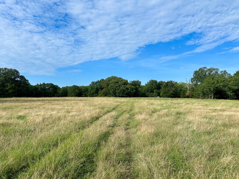 More Photos Of Intersection of FM 2029 and FM 409, Telephone Land For Sale