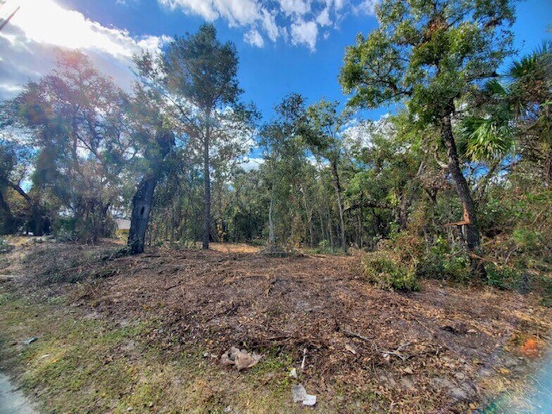 More Photos Of 000 LITTLE ROAD, SOUTH OF JASMINE BLVD, New Port Richey Land For Sale