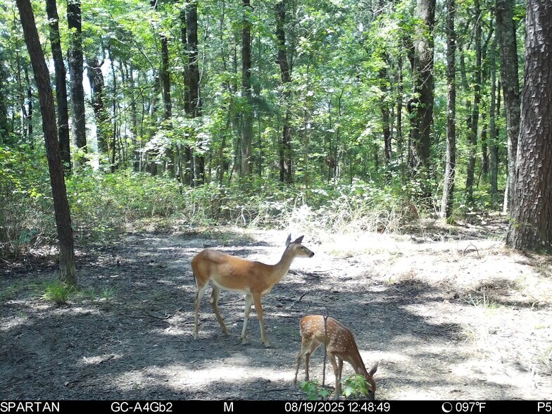More Photos Of County Road 2592, Marietta Land For Sale