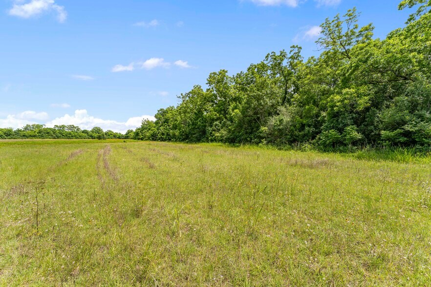 More Photos Of 10840 FM 442, Boling Land For Sale