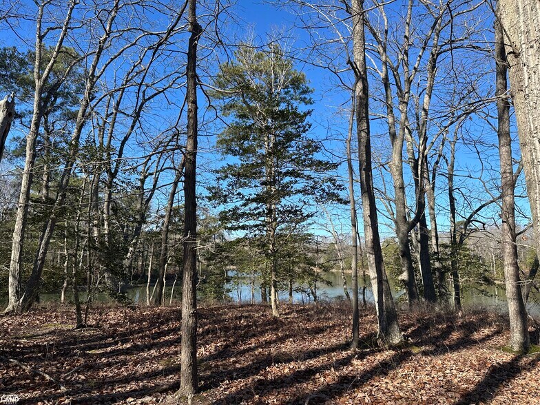 More Photos Of 00 Taylors Beach rd, Reedville Land For Sale