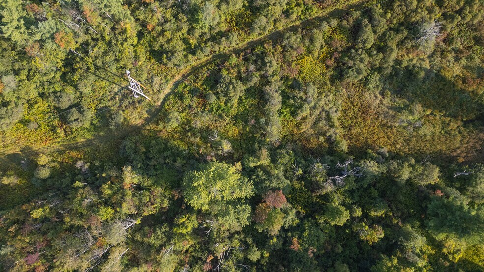 More Photos Of 219 Mudge rd, Delanson Land For Sale