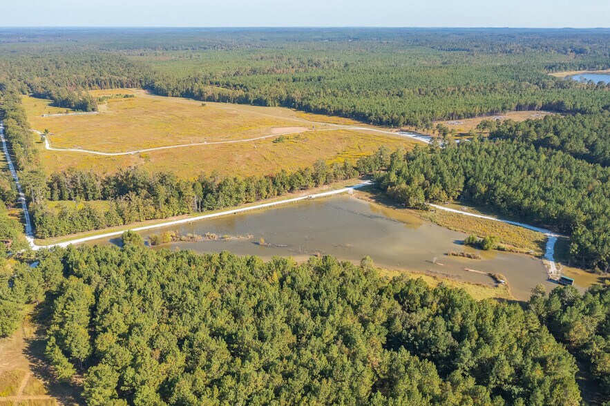More Photos Of 18618 Hwy 43, Linden Land For Sale