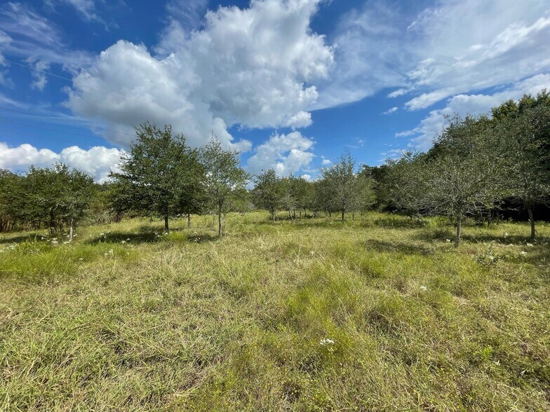 More Photos Of 3618 TX-159, La Grange Land For Sale