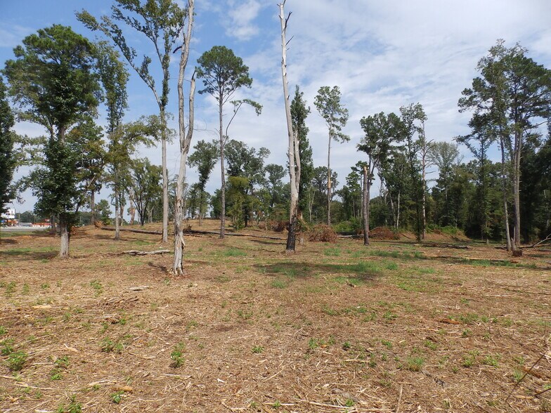 More Photos Of 16393 Highway 31, Tyler Land For Sale