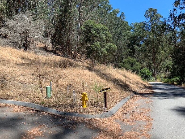 More Photos Of 00 Lupine Lane, Santa Cruz Land For Sale