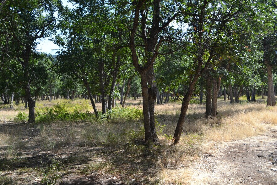 More Photos Of 552-395 Roberts Drive, Mcarthur Land For Sale