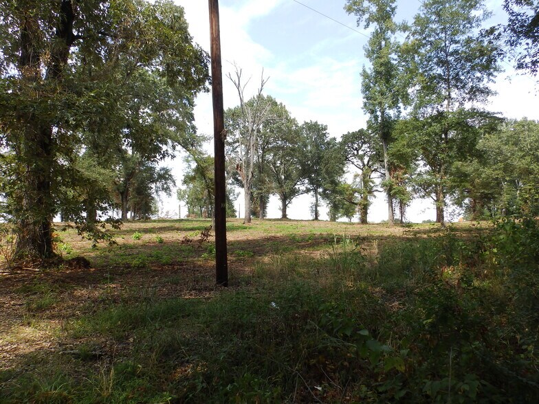 More Photos Of 16393 Highway 31, Tyler Land For Sale