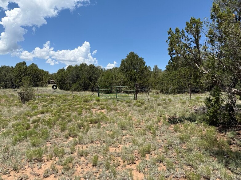 More Photos Of 44 Forest 321 Rd, Estancia Land For Sale