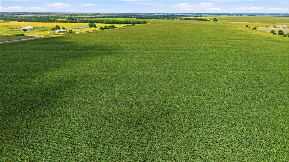 More Photos Of County Road 319, Granger Land For Sale