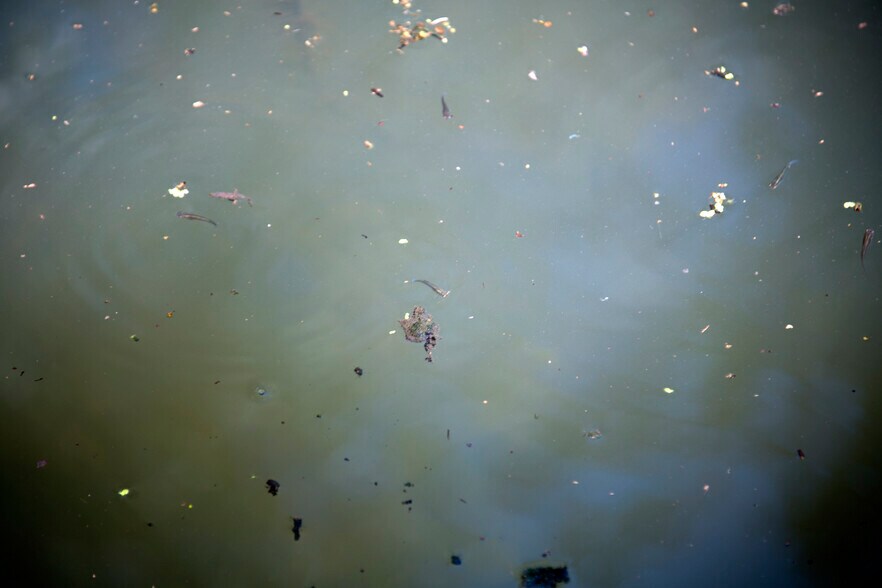 More Photos Of 145 Spring Rd, San Marcos Land For Sale