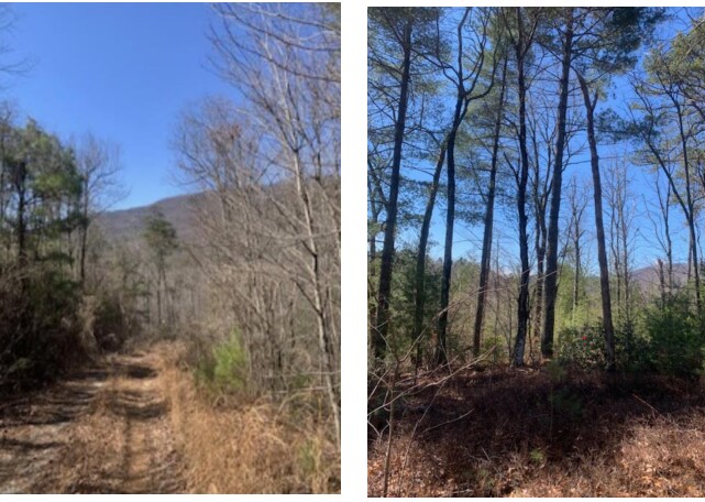 More Photos Of 0 Main St, Clayton Land For Sale