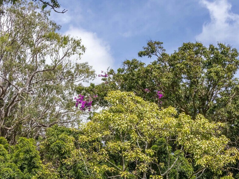 More Photos Of 47-4630 Mauka Cane Haul Rd, Honokaa Land For Sale