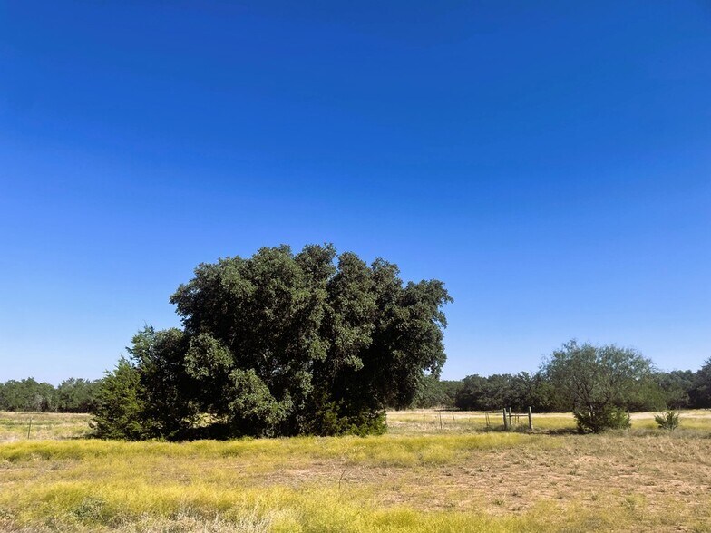 More Photos Of 1276 Farm to Market Road 574, Mullin Land For Sale