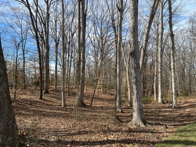 More Photos Of Farragut Drive, Bryans Road Land For Sale