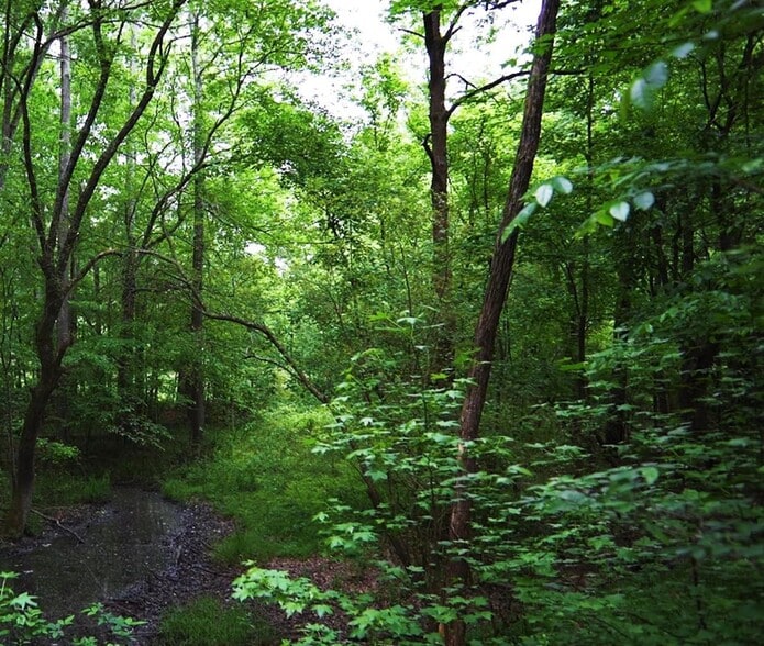 More Photos Of 2680 River Rd, Ellenwood Land For Sale