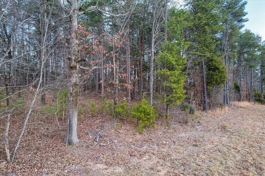 More Photos Of 9087 Hwy 58 Hwy 58, Harrison Land For Sale