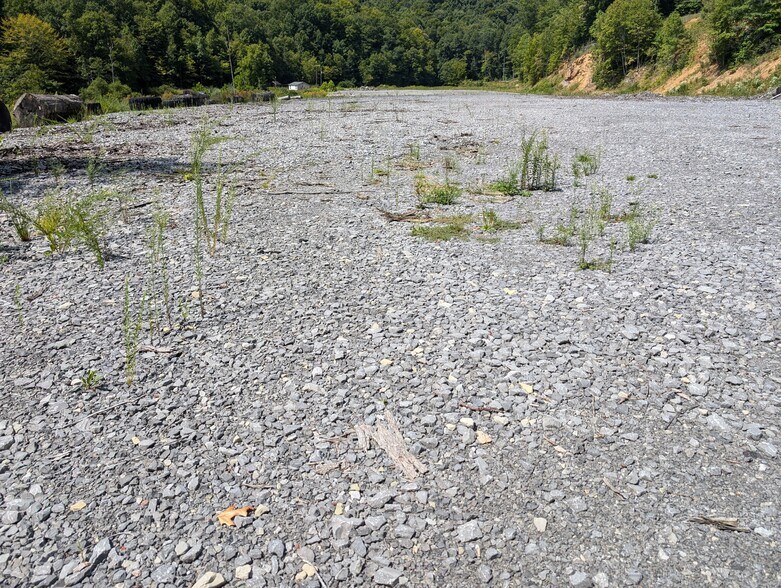 More Photos Of 405 Checks Rd, Summersville Land For Sale