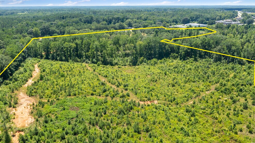 More Photos Of 23425 US Highway 76, Clinton Land For Sale