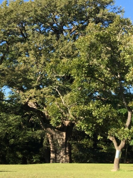 More Photos Of 7070 S US Highway 83, Concan Hotel For Sale