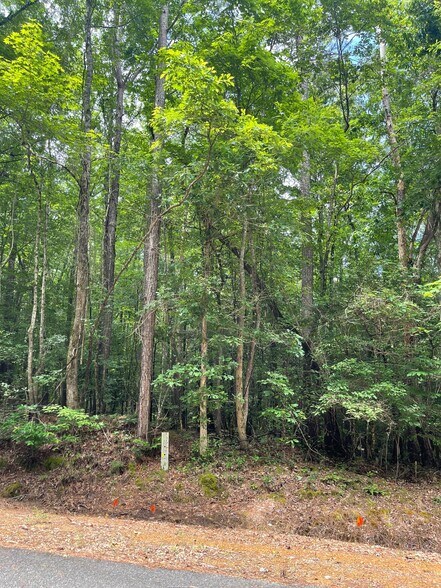 More Photos Of 17796 Dry Branch loop, Northport Land For Sale