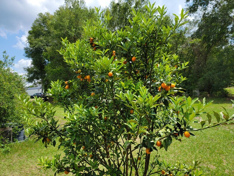 More Photos Of 38935 River Rd., Dade City Land For Sale