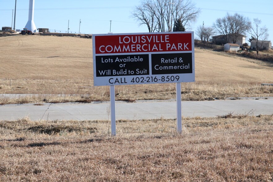 More Photos Of Henry St, Louisville Land For Sale