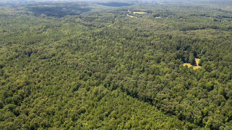 More Photos Of 17796 Dry Branch loop, Northport Land For Sale