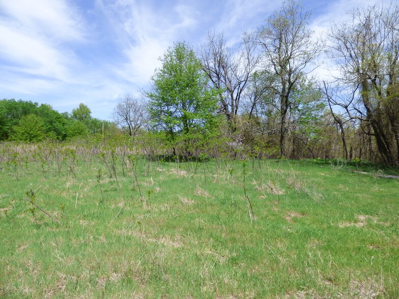 More Photos Of 418344 Texanna Rd, Eufaula Land For Sale