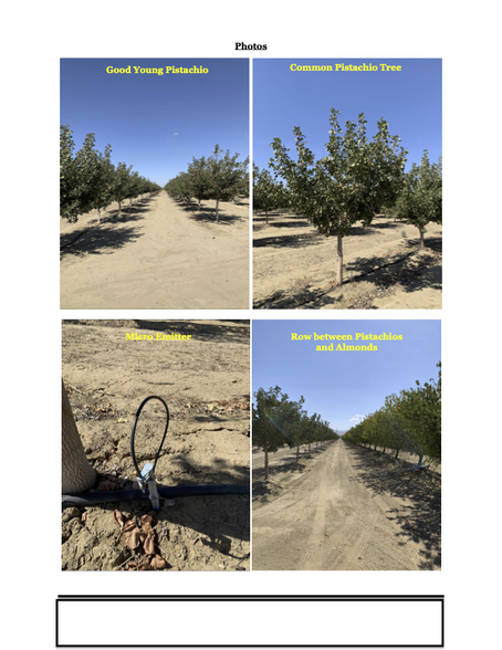 Primary Photo Of 45551 Panoche Rd, Firebaugh Land For Sale