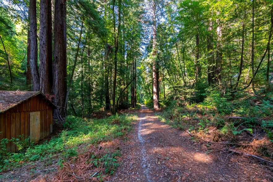 More Photos Of 2372 McKenzie Creek rd, Scotts Valley Land For Sale