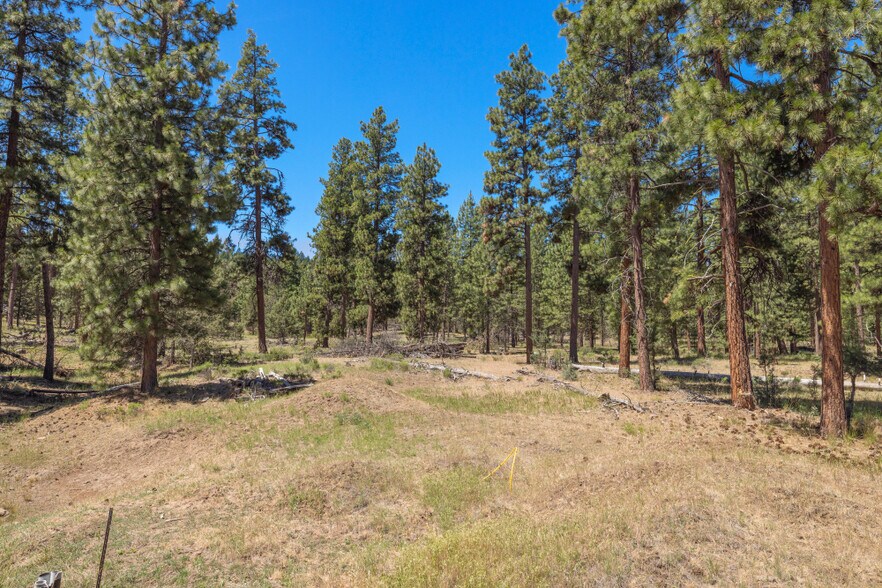 More Photos Of 0 Blue Wing Street, Keno Land For Sale