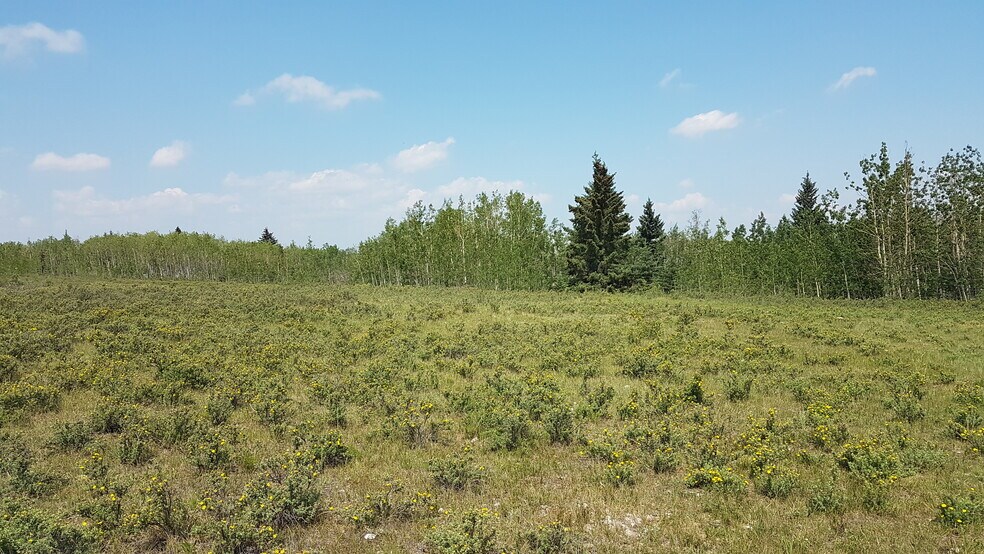 More Photos Of 2 Bow River, Rocky View No 44 Land For Sale