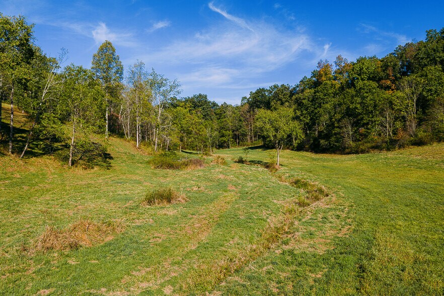 More Photos Of 15 GLECOE Rd, Dellroy Land For Sale