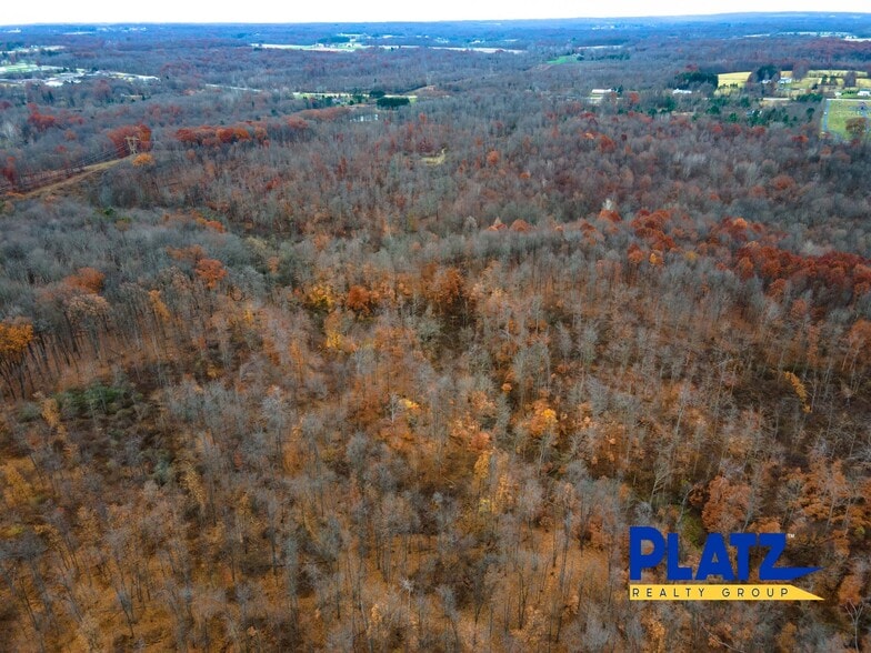 More Photos Of 10666 Akron Canfield, Canfield Land For Sale