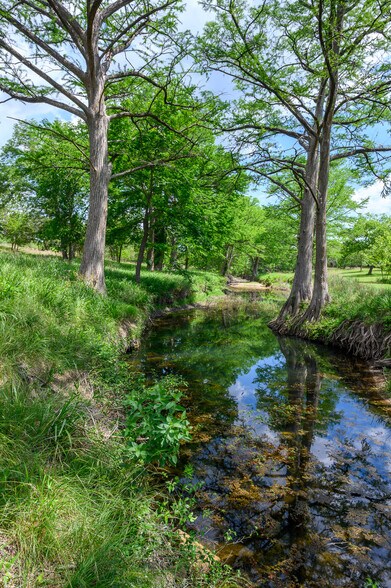 More Photos Of 114 Bledsoe Ranch Road, Center Point Land For Sale