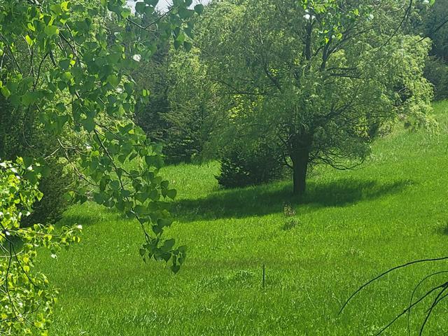 More Photos Of 170 Sherwood Dr, Yankton Land For Sale