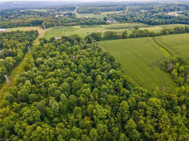 More Photos Of 3810 Center, Youngstown Land For Sale