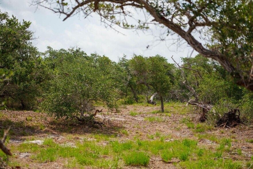 More Photos Of 704 South Highway 35 Byp, Rockport Land For Sale