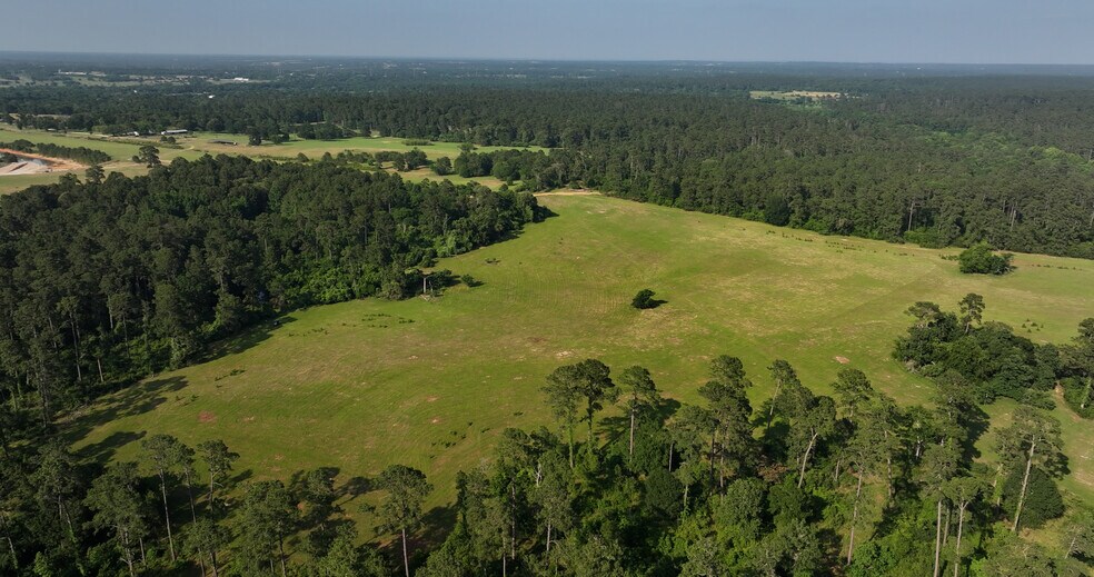 More Photos Of 2268 FM 1486, Montgomery Land For Sale