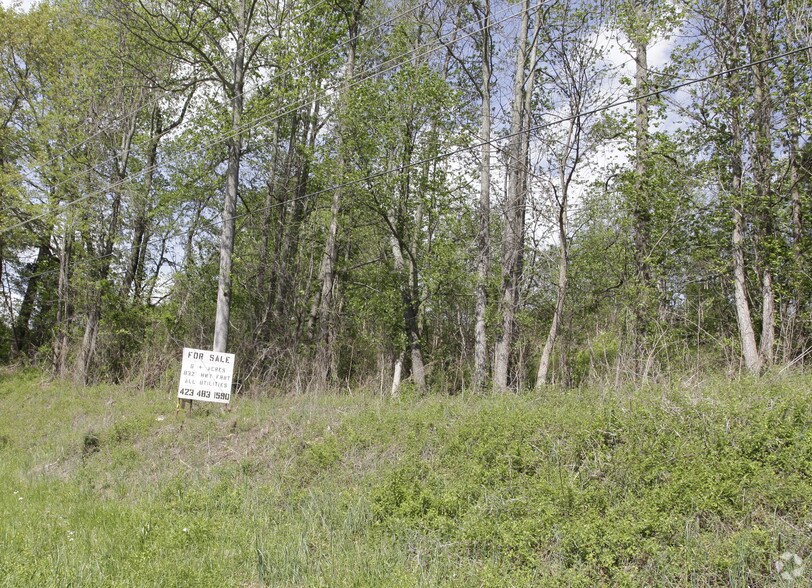 More Photos Of 135 Bl Moore Ln, Jonesborough Land For Sale
