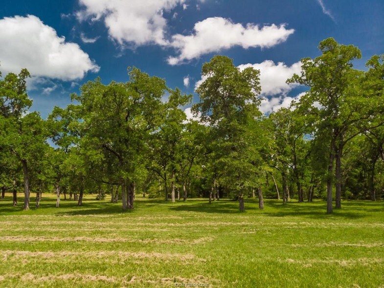 More Photos Of 993 Peach Creek Cut Off, College Station Office Residential For Sale