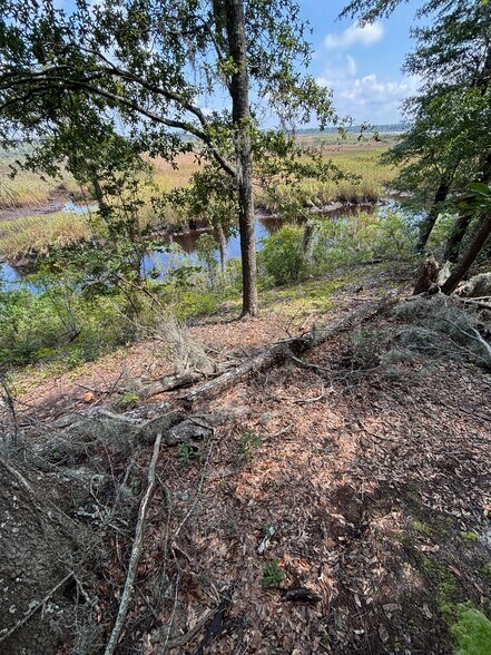 More Photos Of , Wilmington Flex For Sale