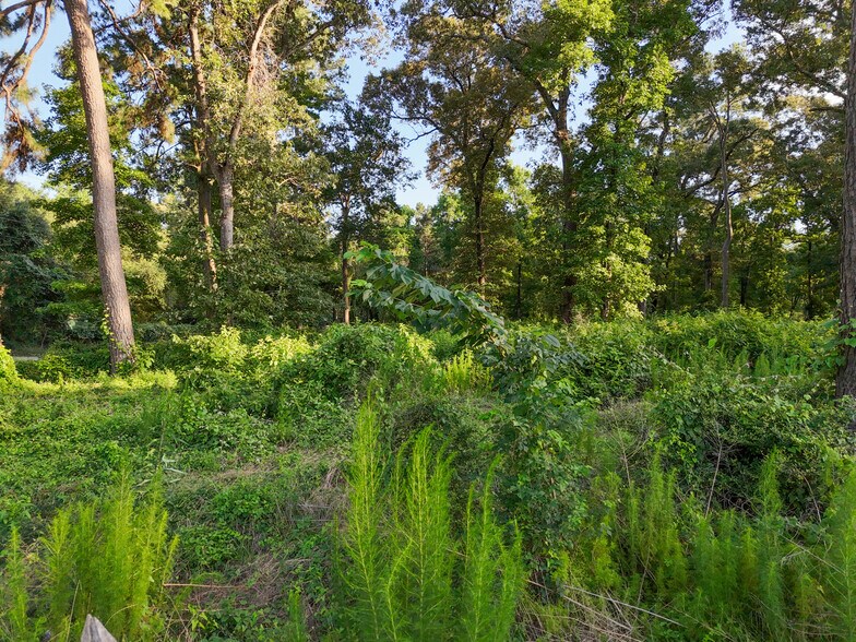 More Photos Of Mueschke Rd @ Sanders Cemetary Rd, Tomball Land For Sale