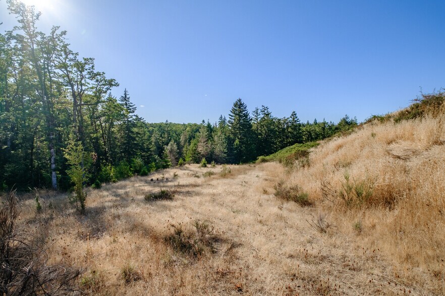 More Photos Of 609 Coastal View Dr, Philomath Land For Sale