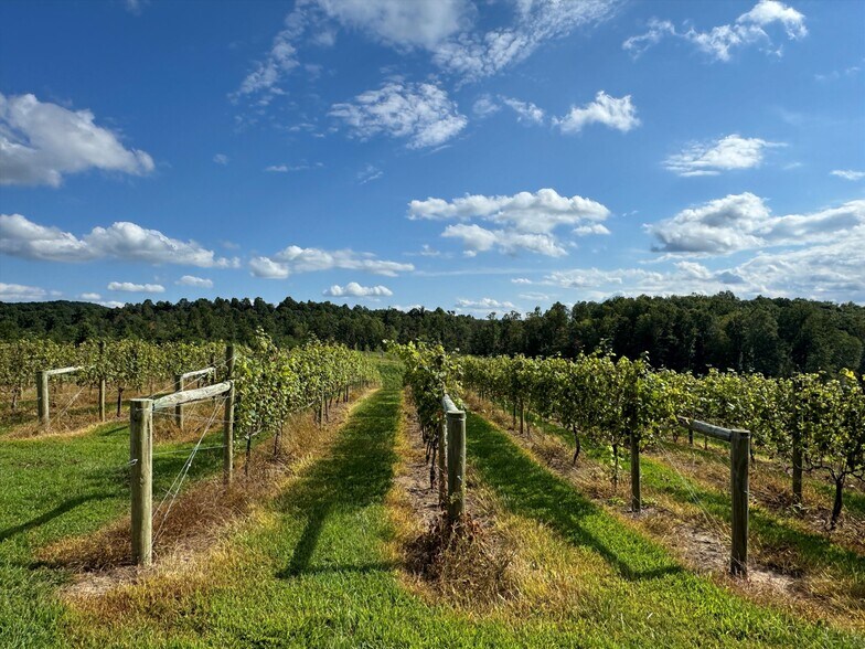 More Photos Of 781 Payne dr, Zirconia Land For Sale