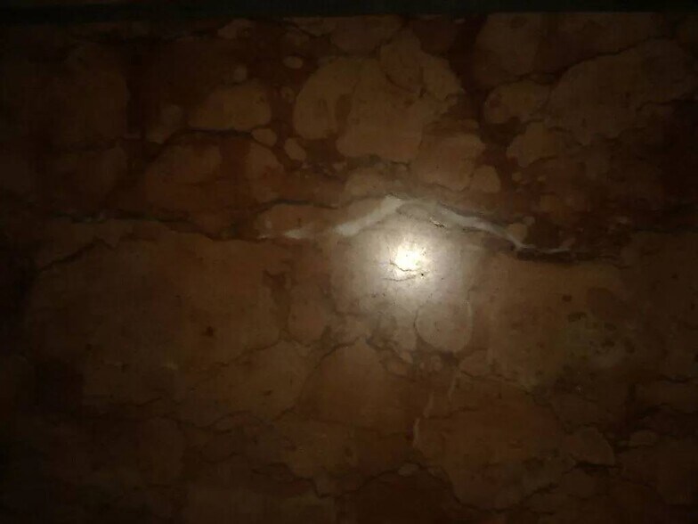 More Photos Of 2038 Grant Ave, Philadelphia Specialty For Sale