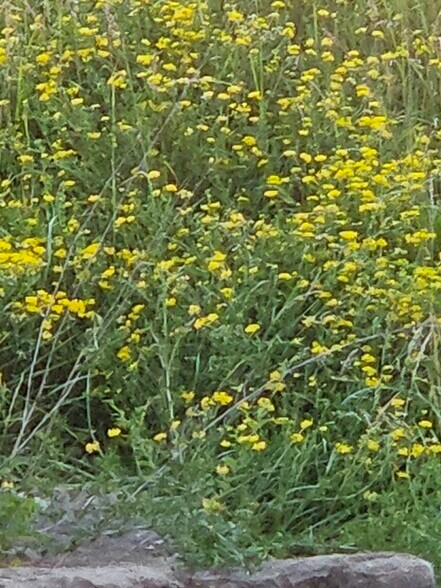 More Photos Of 36026 Jewell Ct, Earlham Land For Sale