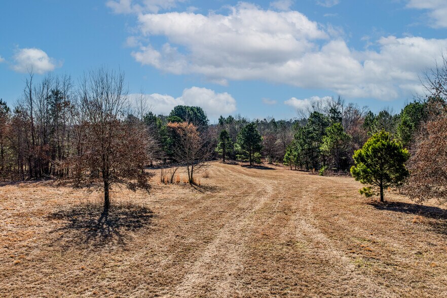 More Photos Of 1609 County Road 246 S rd, Tyler Land For Sale