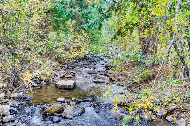 More Photos Of 3303 Chicago Creek Rd, Idaho Springs Hotel For Sale